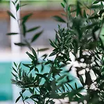 Inspira Boutique Thassos - Adults Only 프리노스