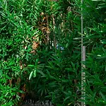 Inspira Boutique Thassos - Adults Only 호텔 4*