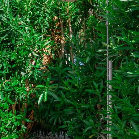 Inspira Boutique Thassos - Adults Only Hotel 4*