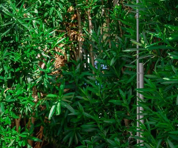 Inspira Boutique Thassos - Adults Only Hotell 4*